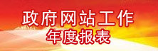 政府網站年度報表